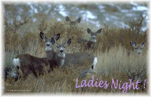 ladiesnight1.jpg